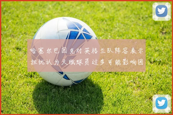 哈塞尔巴因克对英格兰队阵容表示担忧认为天赋球员过多可能影响团队合作