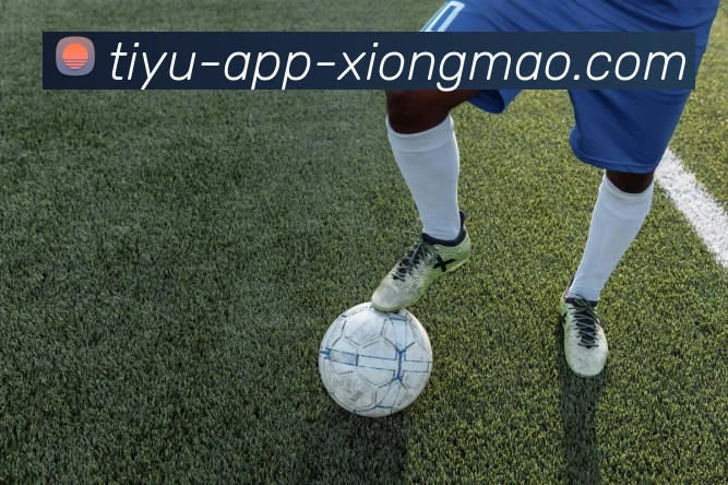 熊猫体育品牌故事