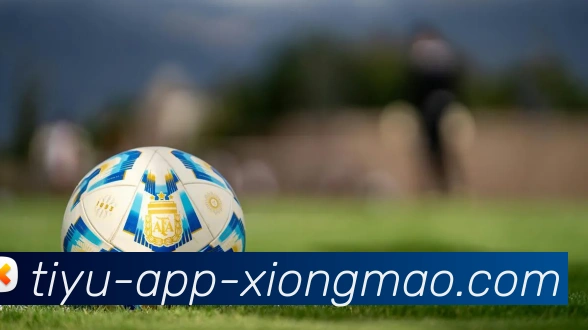 熊猫体育服务体系